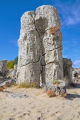 Image showing The Stone Desert