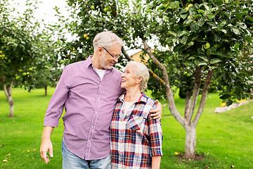 Image showing happy senior couple hugging at summer garden