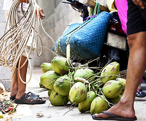 Image showing professional climber on coconut treegathering coconuts with rope