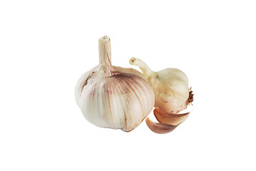 Image showing Garlic bulb isolated on white background cutout