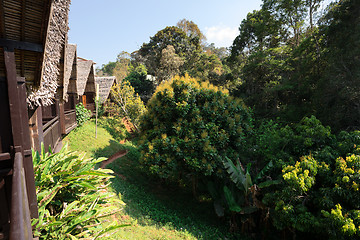 Image showing Madagascar beautiful landscape