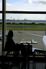 Image showing Airport Traveler