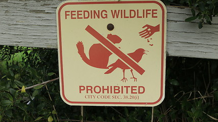 Image showing Feeding Wild Life Prohibited_8705