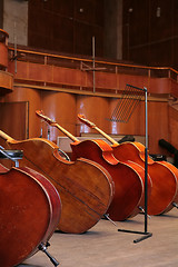 Image showing old bass viols