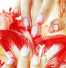 Image showing beauty delicate hands with pink Ombre design manicure holding re