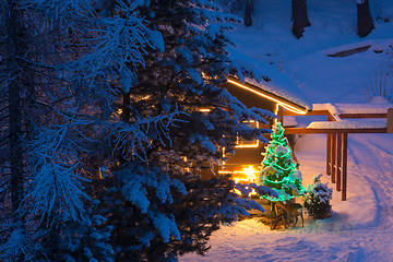 Image showing christmas tree outdoor decoration