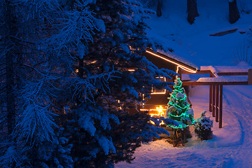 Image showing christmas tree outdoor decoration