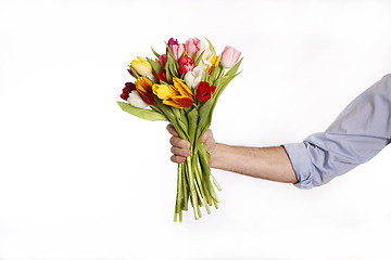 Image showing Male hand with bouquet of tulips, isolated