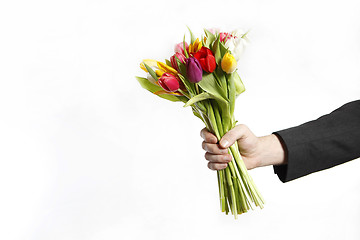 Image showing Male hand with bouquet of tulips, isolated