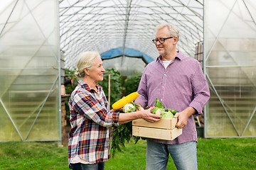 Image showing senior couple with box of vegetables on farm