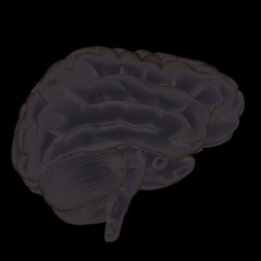 Image showing 3D illustration of human brain