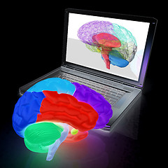 Image showing creative three-dimensional model of real human brain and scan on