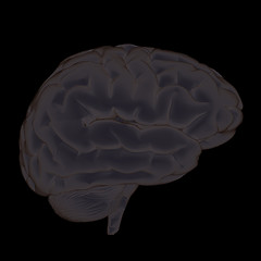 Image showing 3D illustration of human brain