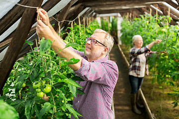 Image showing senior couple working at farm greenhouse