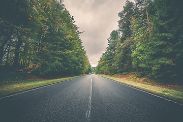 Image showing Asphalt road surrounded by colorful trees