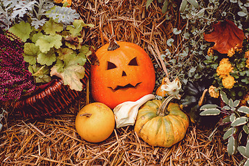Image showing Jack-o-lantern decoration with pumpkins