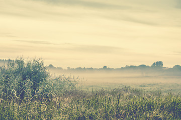 Image showing Morning mist in the wilderness on a cold morning