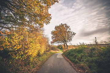 Image showing Trees in autumn colors by a nature trail