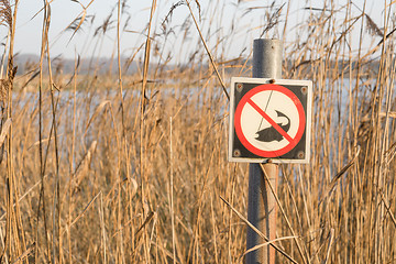 Image showing Fishing sign by a river with tall reeds