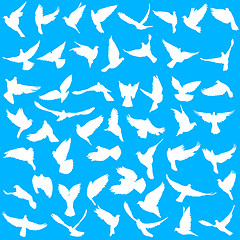 Image showing Concept of love or peace. Set silhouettes doves. illustration