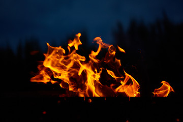 Image showing Fire flames background