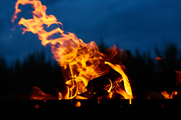 Image showing Fire flames background