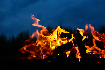 Image showing Fire flames background