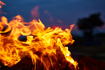 Image showing Fire flames background