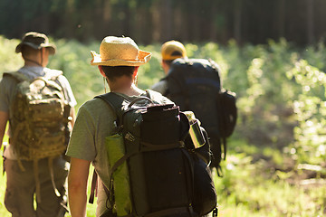 Image showing Hikers from behind