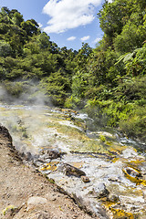 Image showing volcanic activities at waimangu