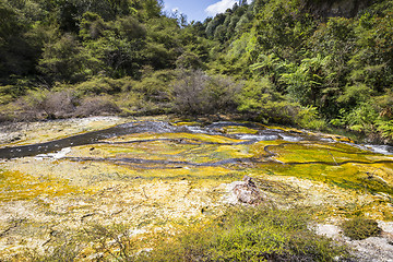 Image showing volcanic activities at waimangu