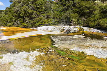 Image showing volcanic activities at waimangu