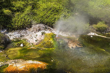 Image showing volcanic activities at waimangu