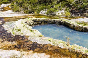 Image showing volcanic activities at waimangu