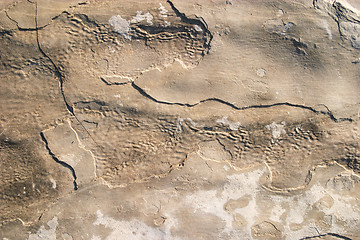 Image showing Rock texture