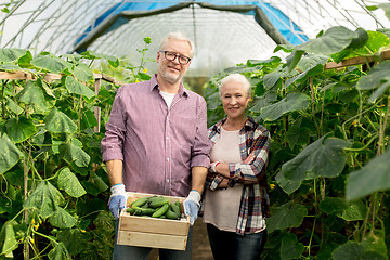 Image showing senior couple with box of cucumbers on farm