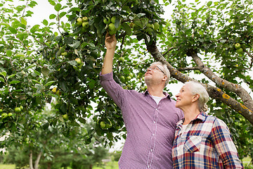 Image showing senior couple with apple tree at summer garden