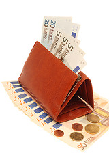 Image showing Purse and euros