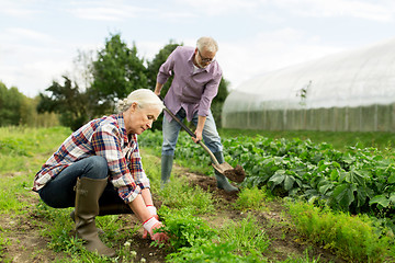 Image showing senior couple working in garden or at summer farm