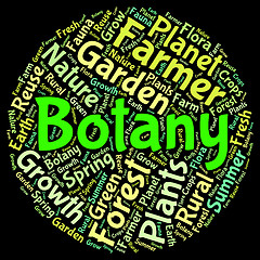 Image showing Botany Word Indicates Plant Life And Botanical