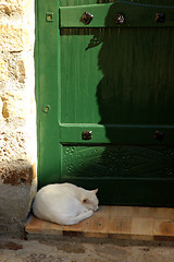 Image showing Cat Nap
