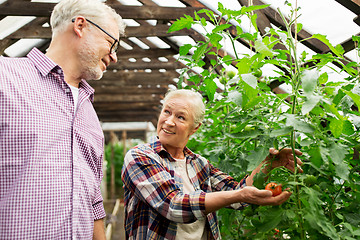 Image showing happy senior couple at farm greenhouse