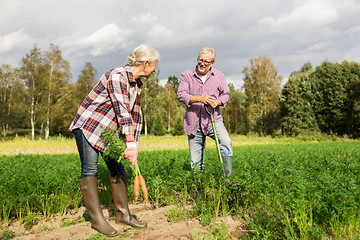 Image showing senior couple with shovel picking carrots on farm