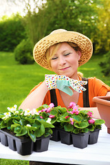 Image showing Young woman planting flower seedlings, gardening in spring, planting begonia flowers in pot, smiling woman working in garden