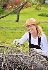 Image showing Young woman working in orchard, after tree pruning, pile of cut branches and twigs of fruit trees, cutting branches of apple trees in garden, smiling woman piling up brushwood in spring