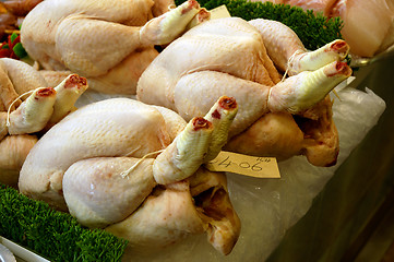 Image showing Chicken