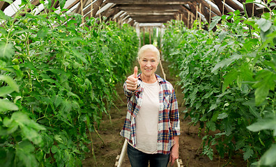 Image showing happy senior woman at farm greenhouse