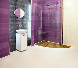 Image showing Purple shower