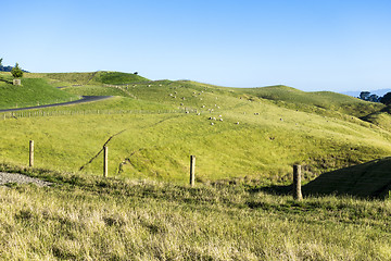 Image showing landscape Matamata