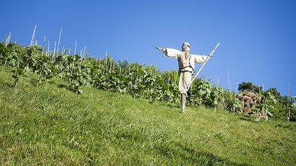 Image showing Scarecrow